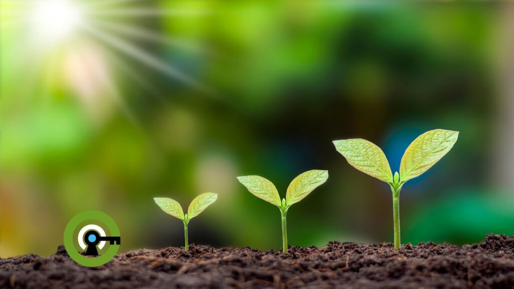 Altus-Environment - Our Services